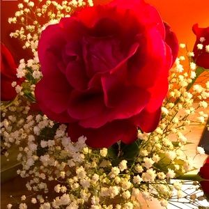 Now that I have your attention, Buy,pretty please.